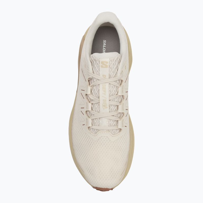 Pánske bežecké topánky Salomon Drx Defy GRVL vanilla ice/green haze/white pepper 5