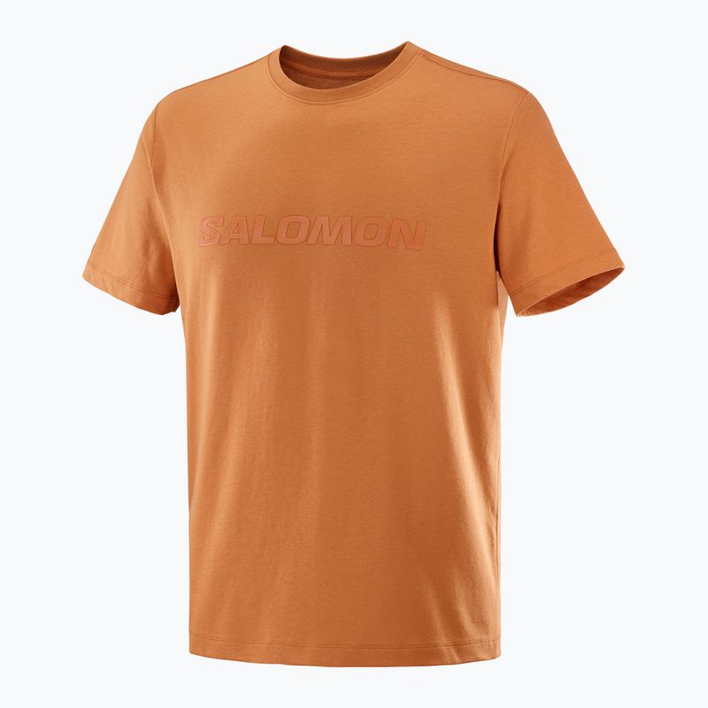 Pánske tričko Salomon Big Logo Tee sierra 4