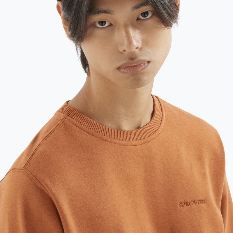 Pánska mikina Salomon Logo Crewneck sierra 3