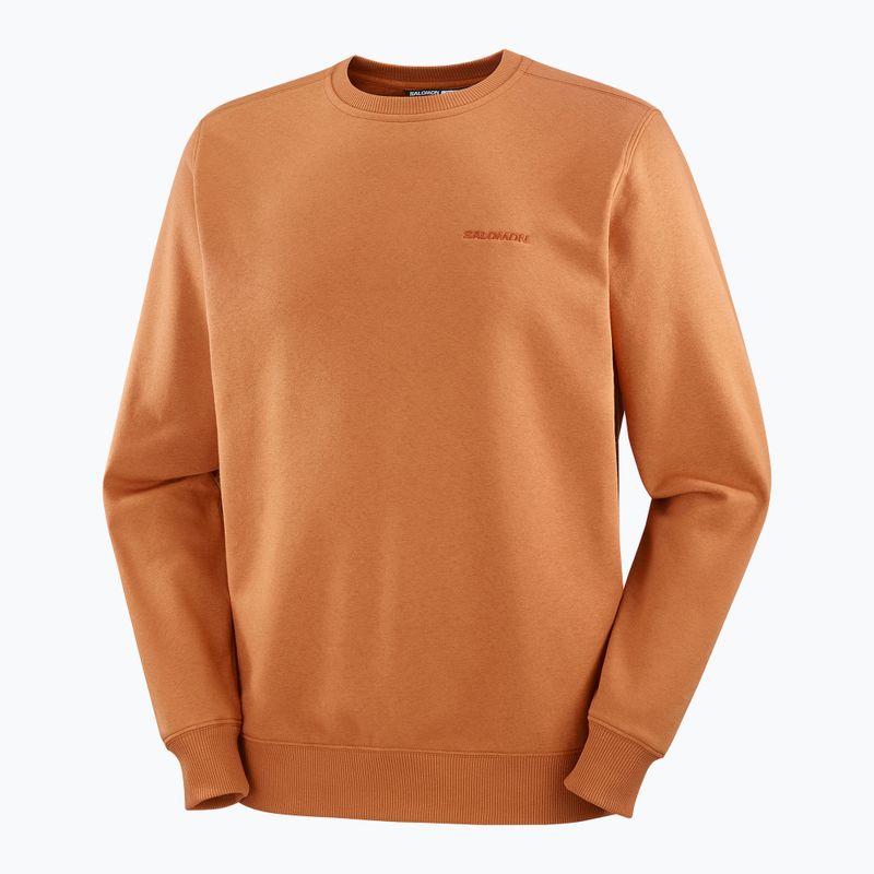 Pánska mikina Salomon Logo Crewneck sierra 5