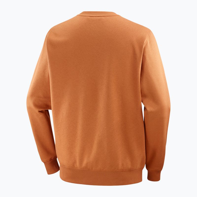 Pánska mikina Salomon Logo Crewneck sierra 6