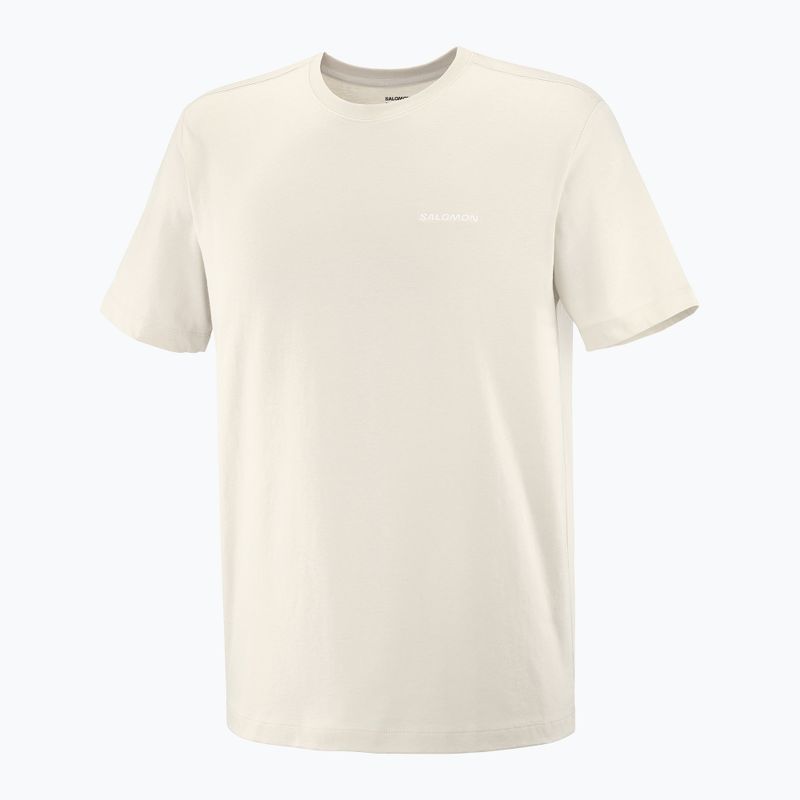Pánske tričko Salomon Logo Tee rainy day 4