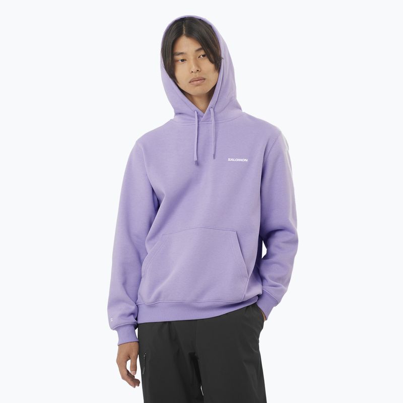 Pánska mikina Salomon Logo Hoodie violet tulip