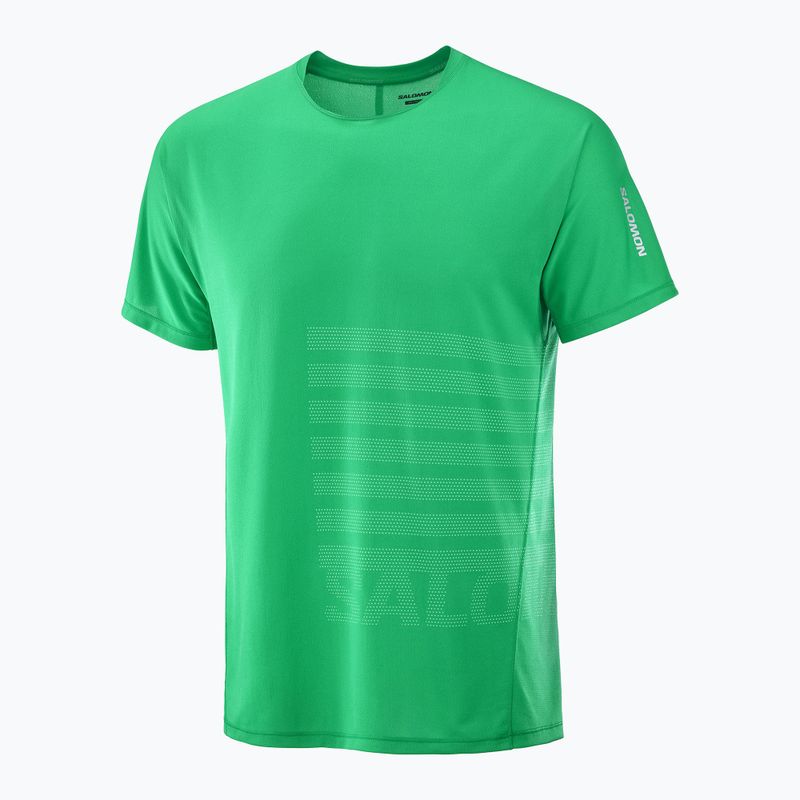 Pánske bežecké tričko Salomon Sense Aero Tee GFX parakeet / spearmintme 4