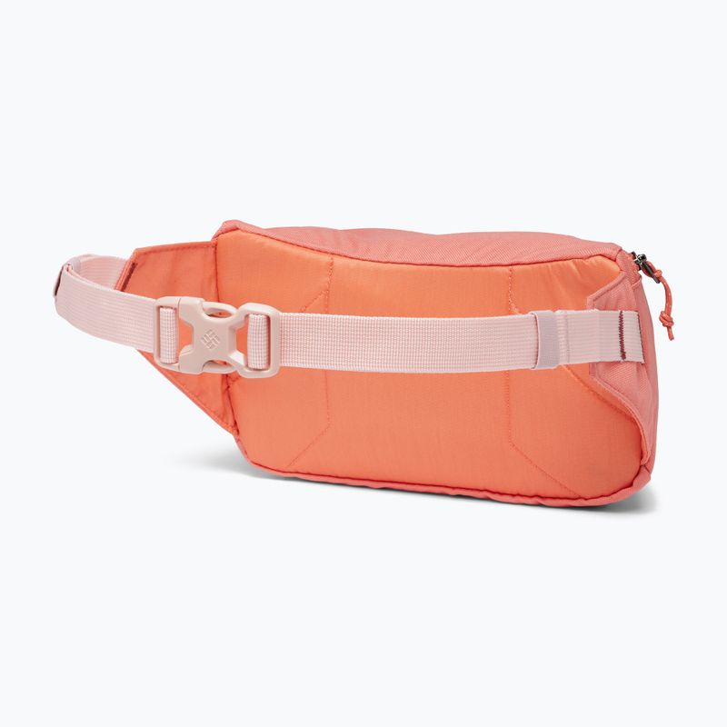 Ľadvinka Columbia Zigzag Hip Pack faded peach/beetroot 2