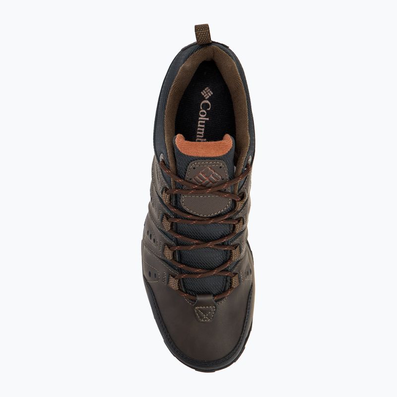 Pánske trekové topánky Jack Wolfskin Dromoventure Wt Texapore Mid cold coffe 5