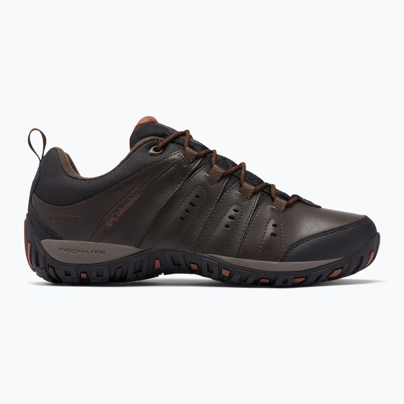 Pánske trekové topánky Jack Wolfskin Dromoventure Wt Texapore Mid cold coffe 9