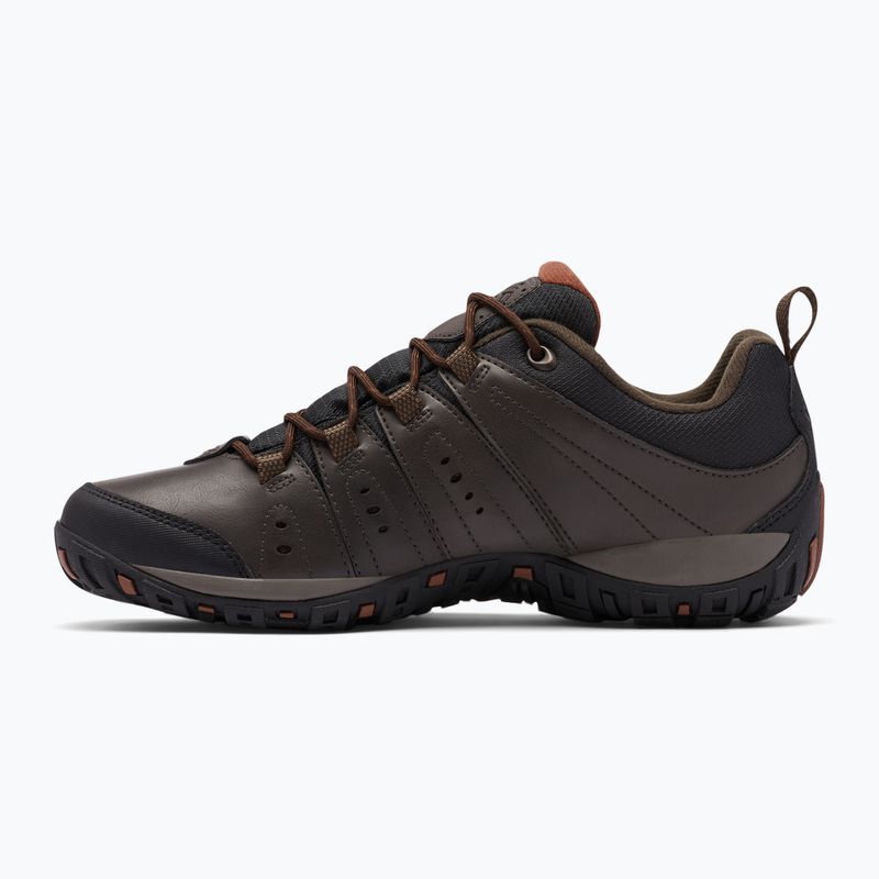 Pánske trekové topánky Jack Wolfskin Dromoventure Wt Texapore Mid cold coffe 10