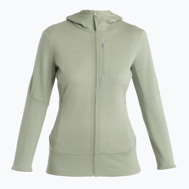 Dámska trekingová mikina Icebreaker Merino 260 Quantum IV Zip Hoodie lichen 7