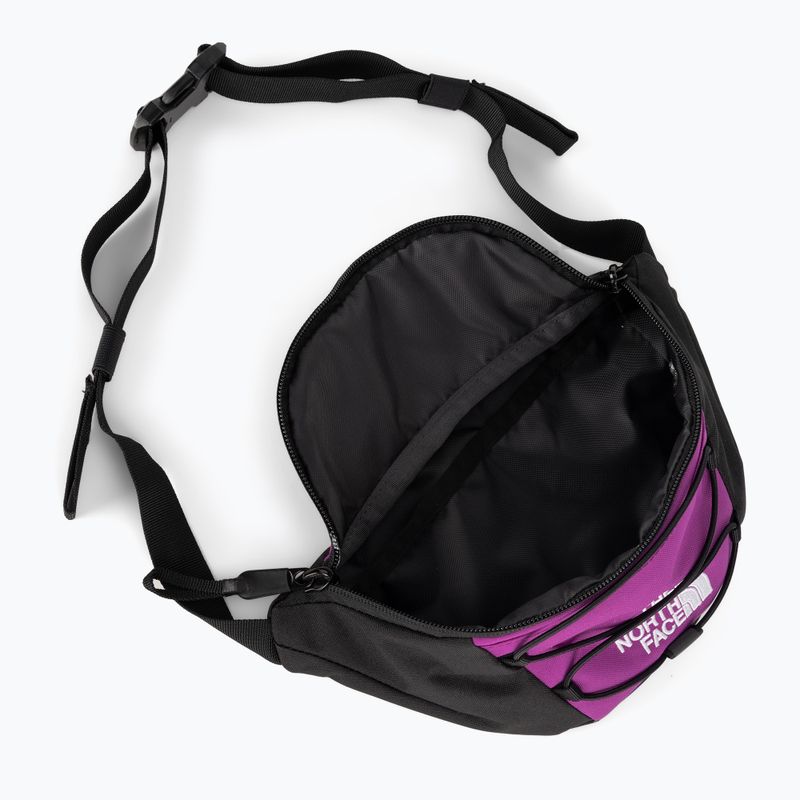Ľadvinka The North Face Jester Lumbar purple/white 5