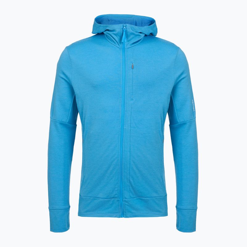 Pánska trekingová  mikina Icebreaker Merino 260 Quantum IV Zip Hoodie arctic 10
