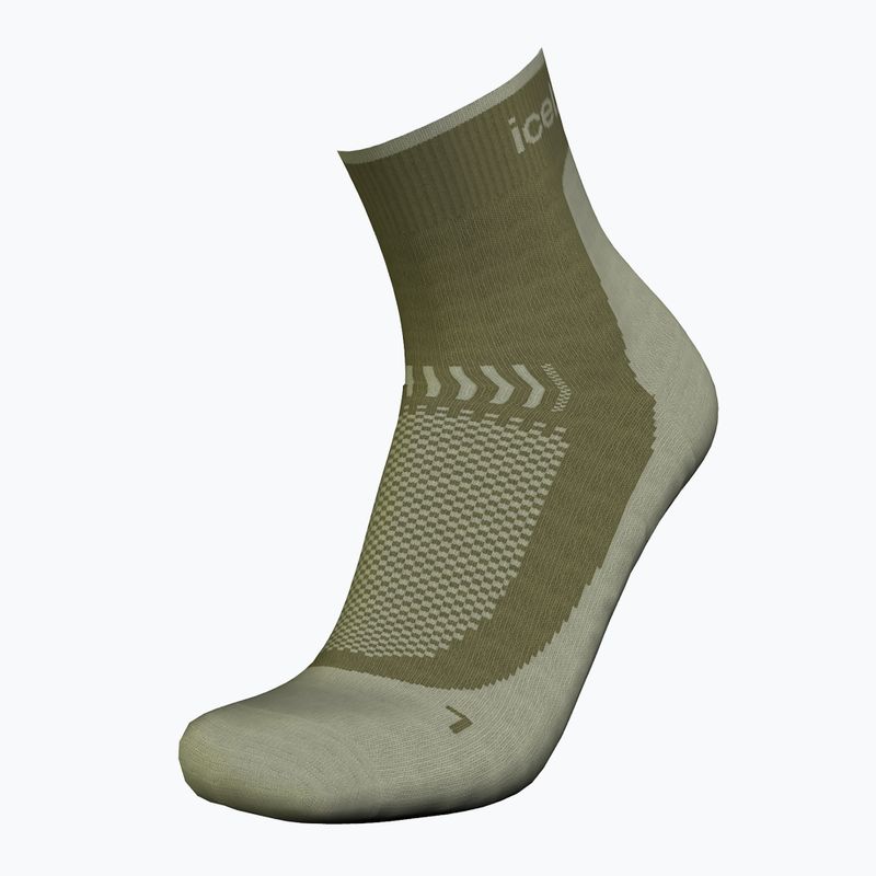Pánske trekové ponožky Icebreaker Merino Hike+ Light Mini loden/lichen 