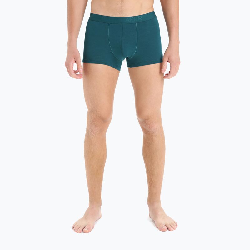 Pánske termo boxerky Icebreaker Anatomica Cool-Lite green 105223 4
