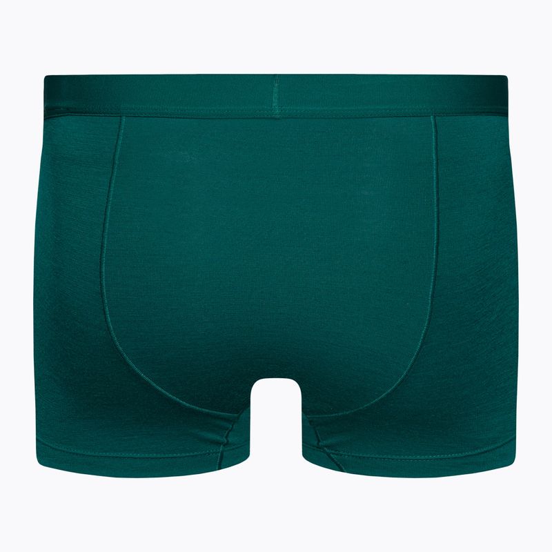 Pánske termo boxerky Icebreaker Anatomica Cool-Lite green 105223 2