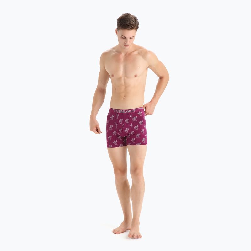 Pánske termo boxerky Icebreaker Anatomica Go Berry 103029 5