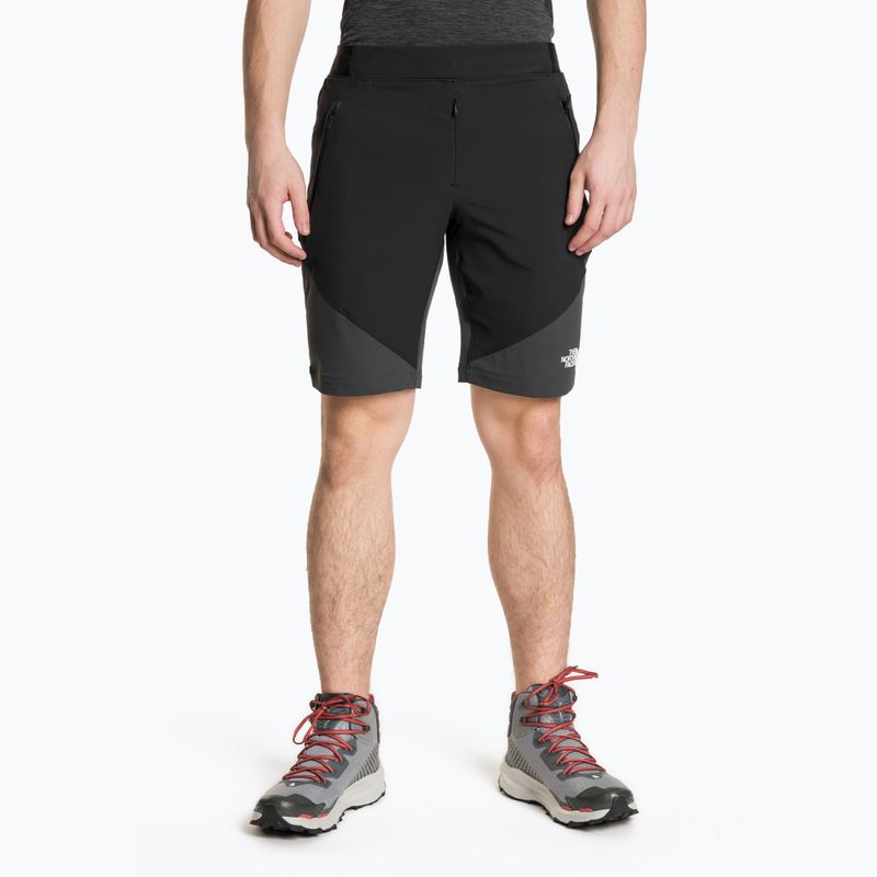 Pánske trekingové šortky The North Face Circadian Alpine black NF0A5IMPJK31