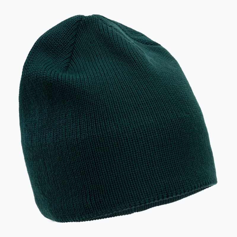 The North Face Bones Recycled zelená zimná čiapka NF0A3FNSD7V1