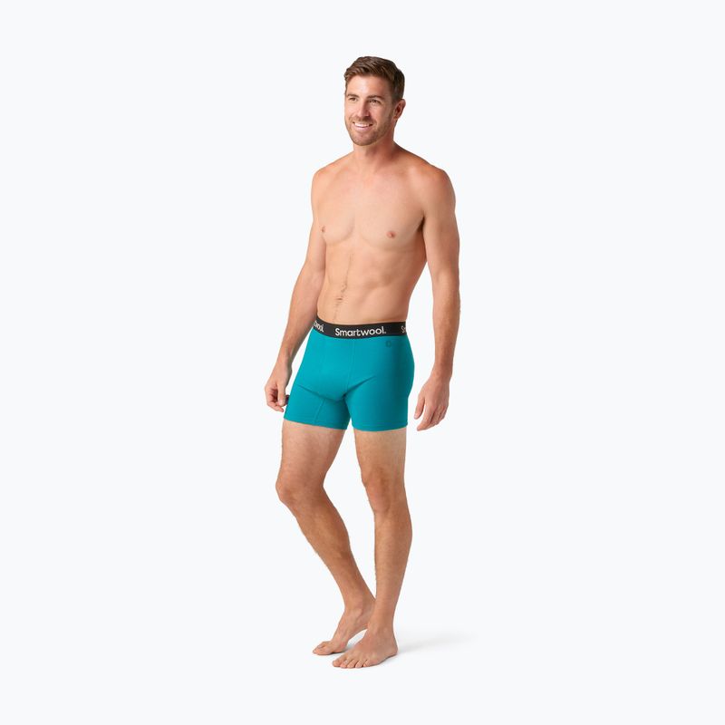 Pánske termo boxerky Smartwool Brief Boxed deep lake 5