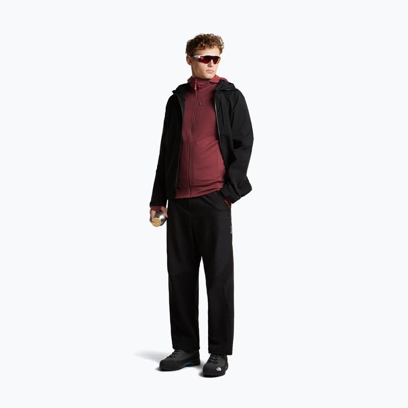 Pánska mikina Icebreaker Merino 260 Quantum IV LS Zip Hoodie port/agate 2