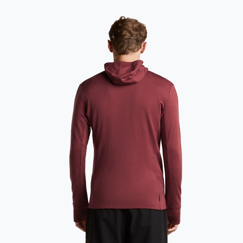 Pánska mikina Icebreaker Merino 260 Quantum IV LS Zip Hoodie port/agate 3