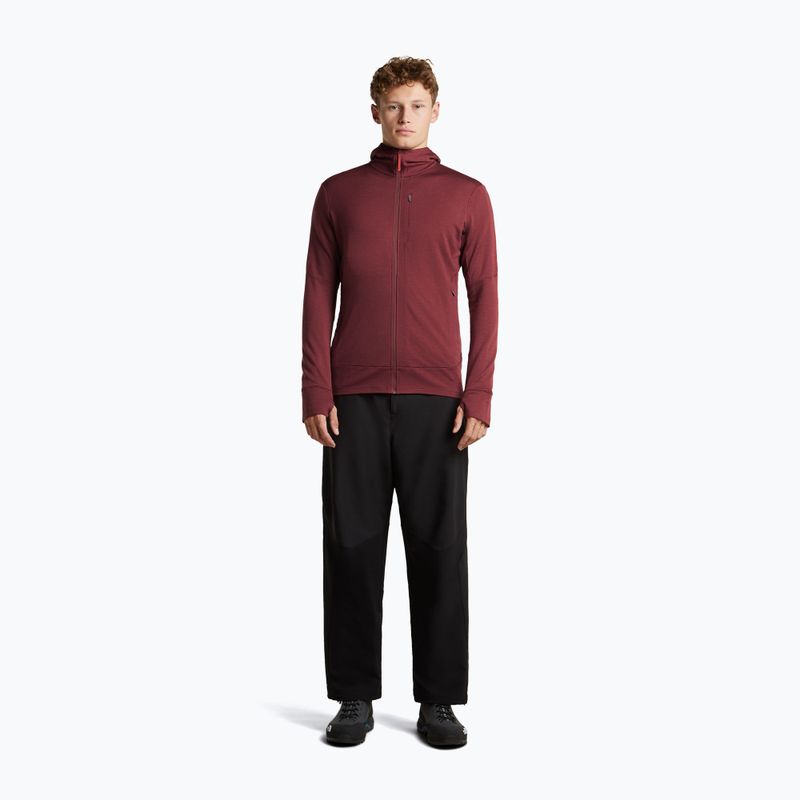 Pánska mikina Icebreaker Merino 260 Quantum IV LS Zip Hoodie port/agate 4