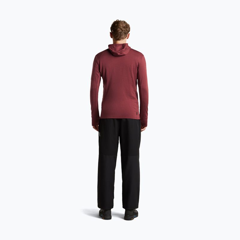 Pánska mikina Icebreaker Merino 260 Quantum IV LS Zip Hoodie port/agate 5
