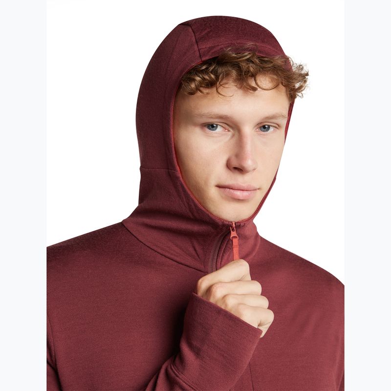Pánska mikina Icebreaker Merino 260 Quantum IV LS Zip Hoodie port/agate 6