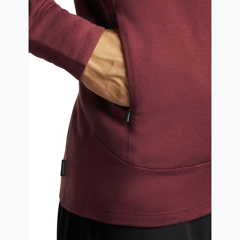 Pánska mikina Icebreaker Merino 260 Quantum IV LS Zip Hoodie port/agate 9