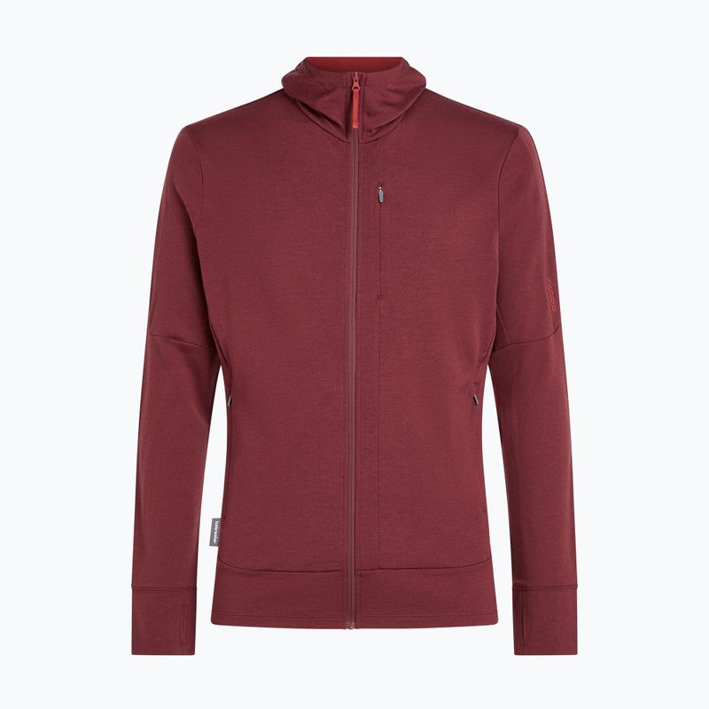 Pánska mikina Icebreaker Merino 260 Quantum IV LS Zip Hoodie port/agate 10