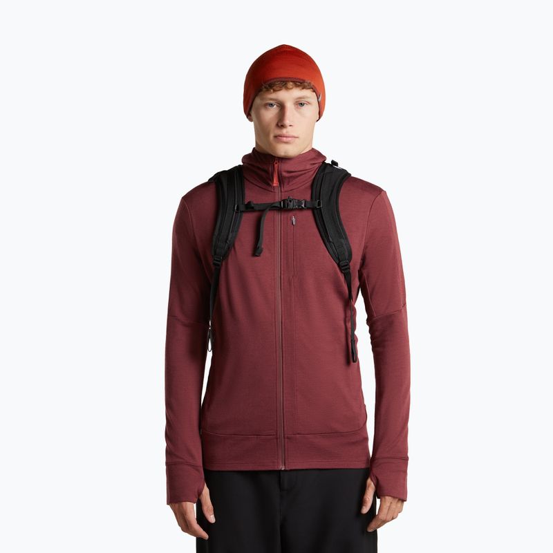 Čiapka icebreaker Merino 200 Oasis Reversible Beanie agate/port 6
