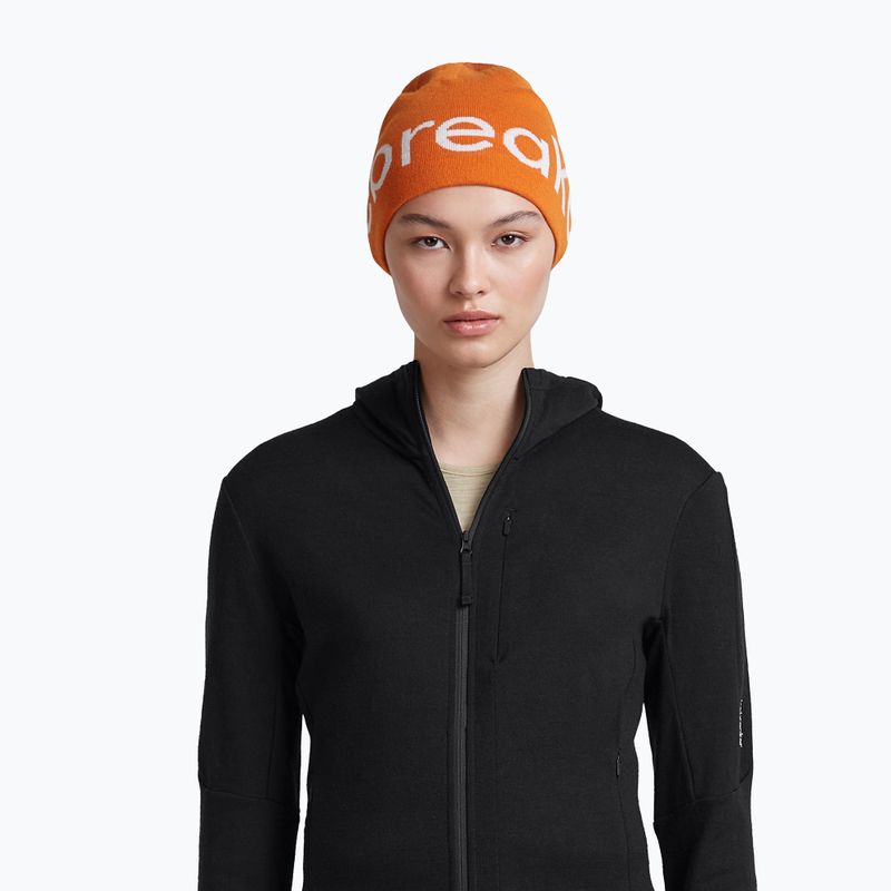 Zimná čiapka icebreaker Merino Icebreaker Beanie spice/ecru heather 6