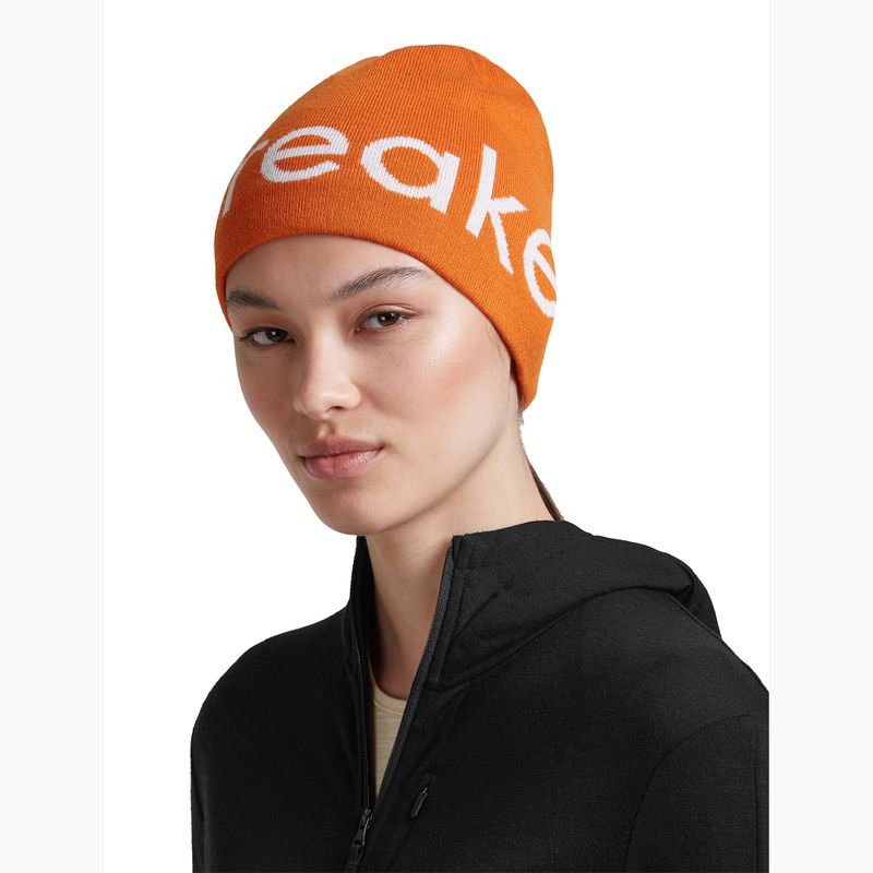 Zimná čiapka icebreaker Merino Icebreaker Beanie spice/ecru heather 7