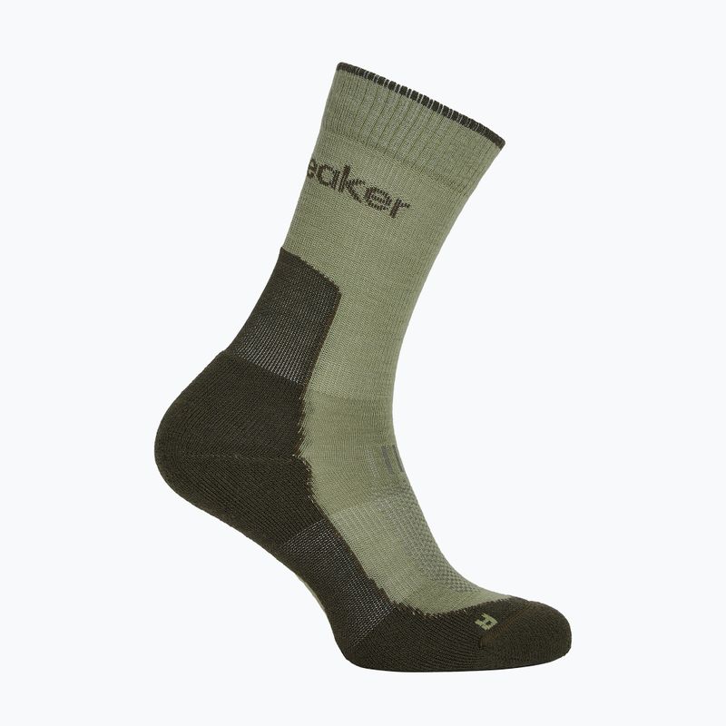Dámske ponožky Icebreaker Merino Hike+ Light Crew lichen/dark loden 2