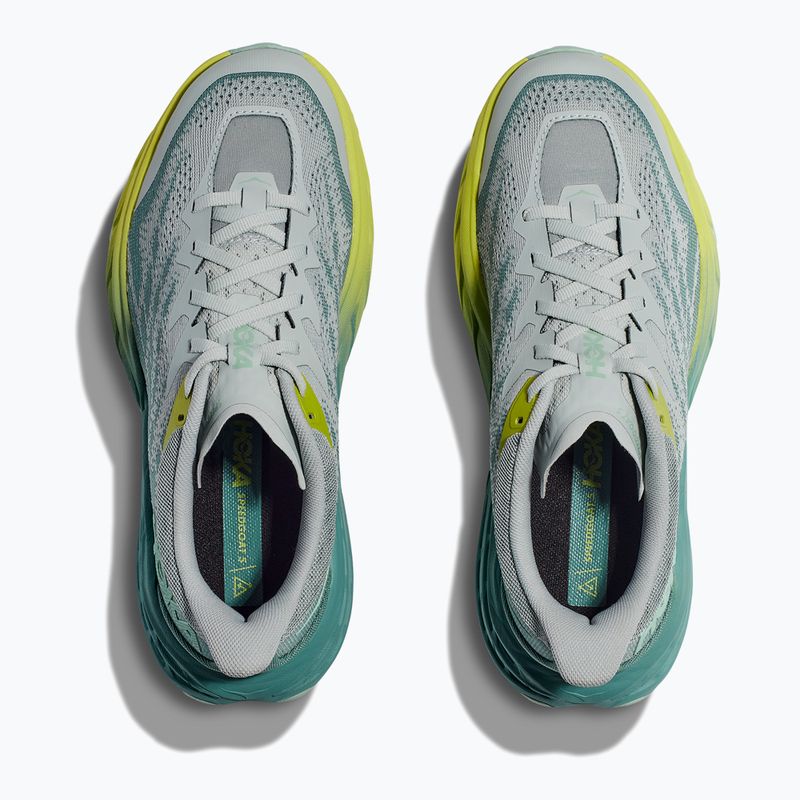 Dámska bežecká obuv HOKA Speedgoat 5 mercury/trellis 15