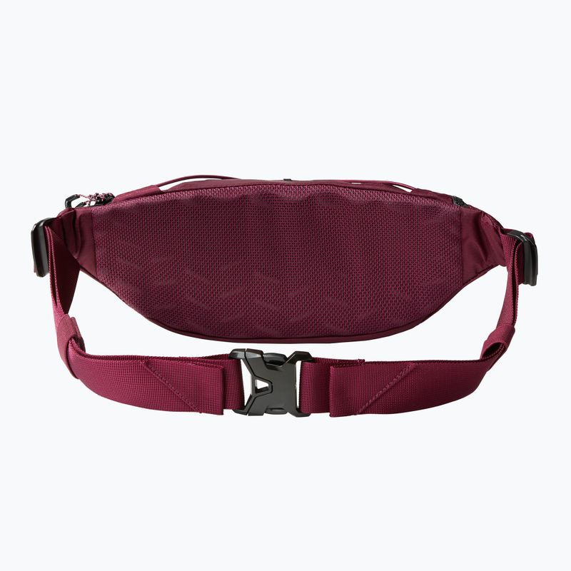 Ľadvinka The North Face Lumbnical S boysenberry 2