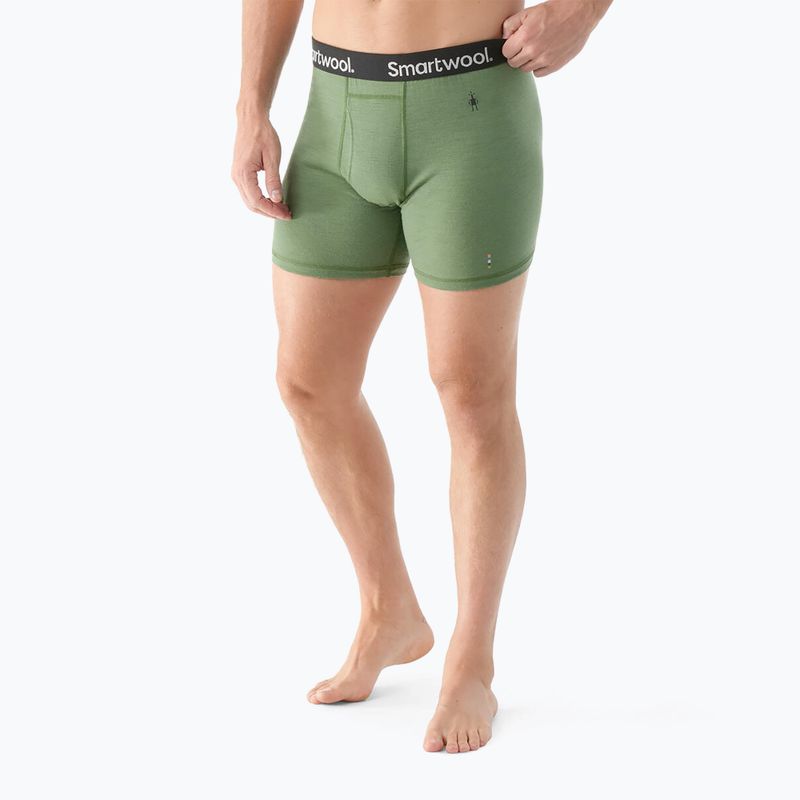 Pánske termo boxerky Smartwool Merino Boxer Brief Boxed fern green 2