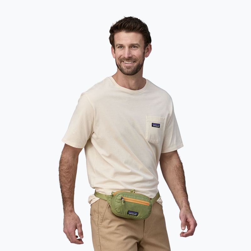 Ľadvinka Patagonia Ultralight Black Hole Mini Hip Pack 1 l buckhorn green pouch 3