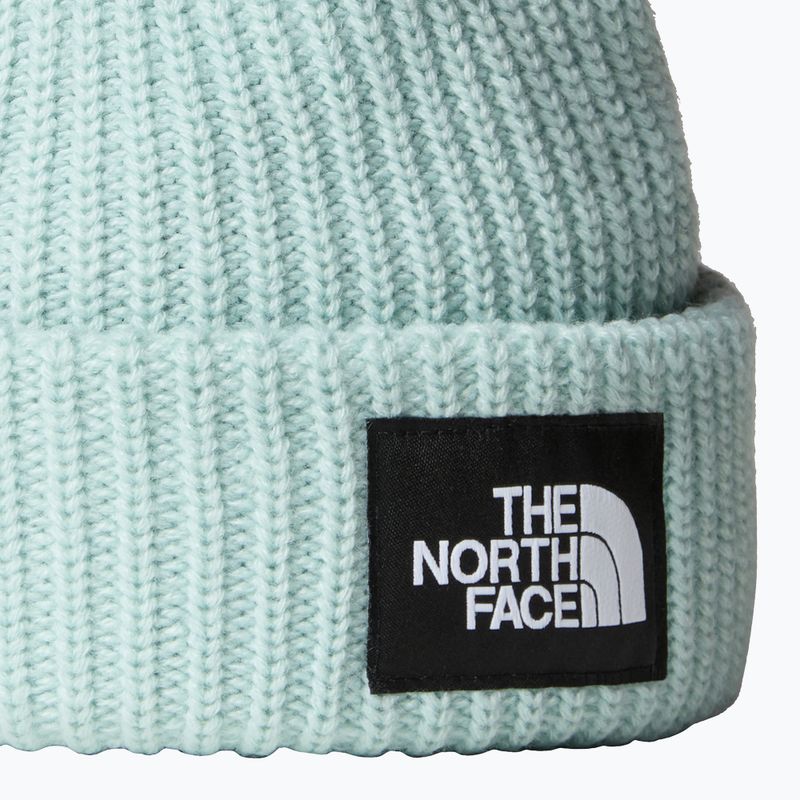 Detská zimná čiapka The North Face Salty v tlmenom borovicovom odtieni 2