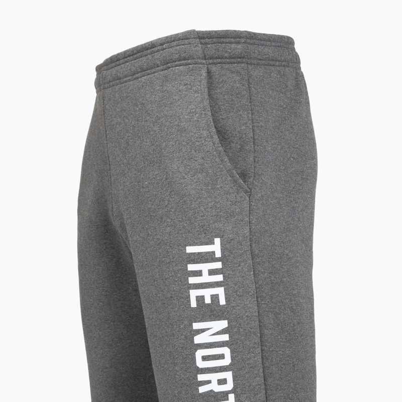 Pánske nohavice The North Face Varsity Graphic medium grey heather 3