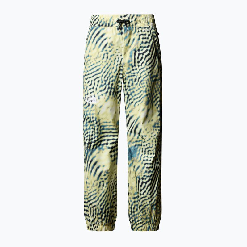 Pánske lyžiarske nohavice The North Face Build Up nettle the lift print 4
