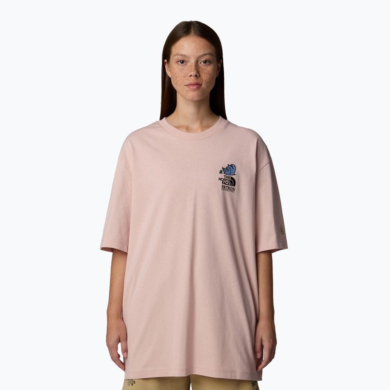 Pánske tričko The North Face Reflective Box Nse Tee pink moss