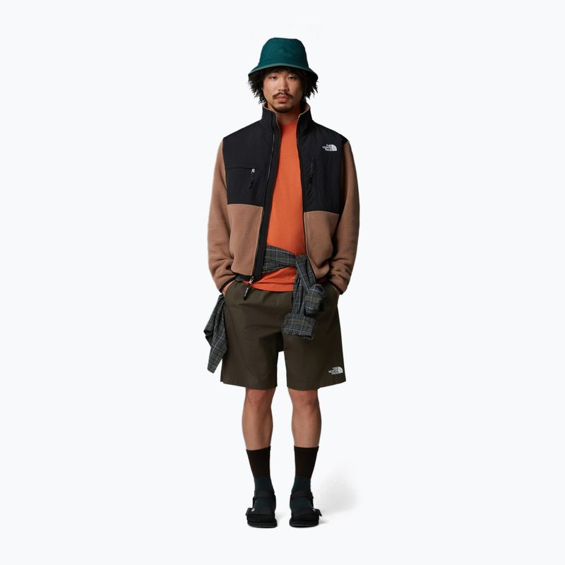 Pánske šortky The North Face Limestone new taupe green 2