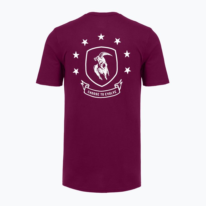 Pánske tréningové tričko Under Armour Project Rock Badge Of Honor purple 4