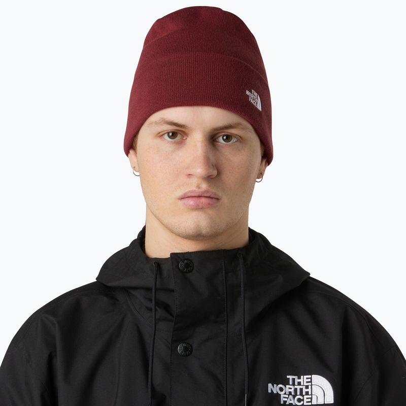Zimná čiapka The North Face Norm Beanie sumac 3