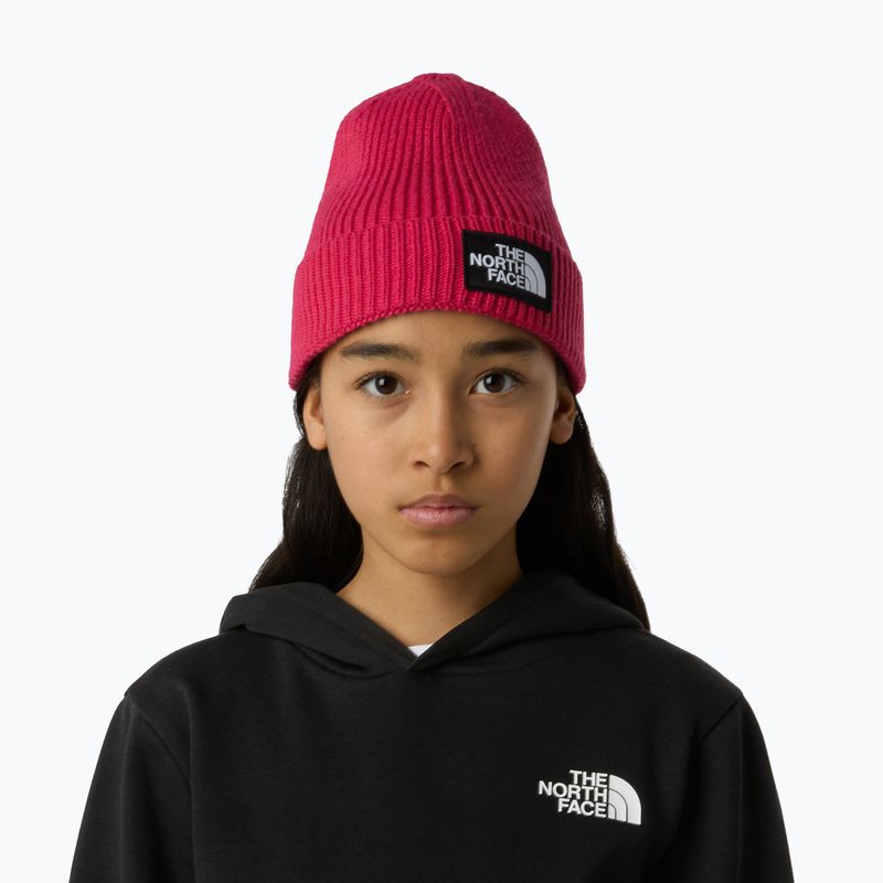Detská zimná čiapka The North Face Logo Box Cuffed 3