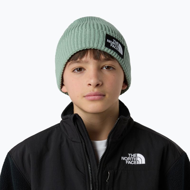Detská zimná čiapka The North Face Logo Box Cuffed 3