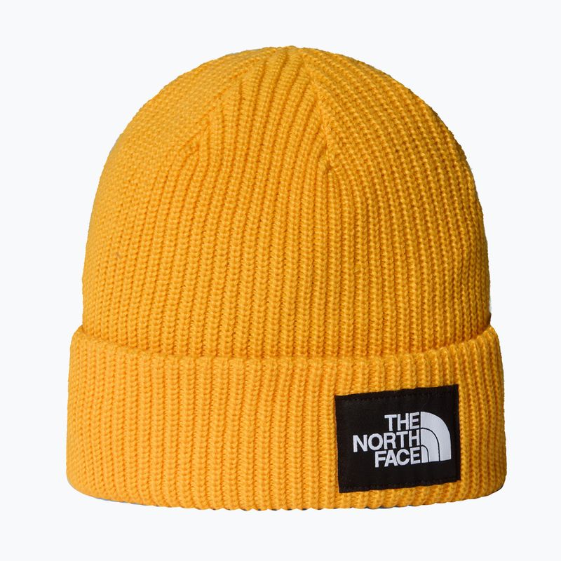 Zimná čiapka The North Face Salty Lined