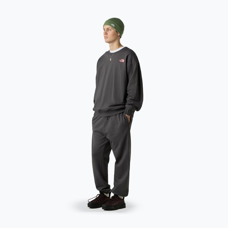 Pánske nohavice The North Face Expedition Celebration Relaxed Jogger Reg anthracite grey 2