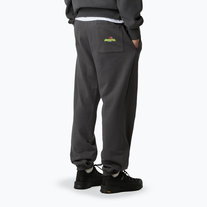 Pánske nohavice The North Face Expedition Celebration Relaxed Jogger Reg anthracite grey 3