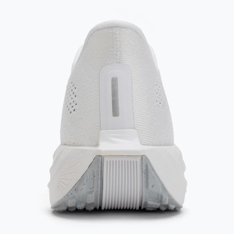 Pánske bežecké topánky Nike Pegasus Plus white / pure platinum / wolf grey 6